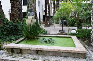 19 ELCHE HUERTO DEL CURA (137)